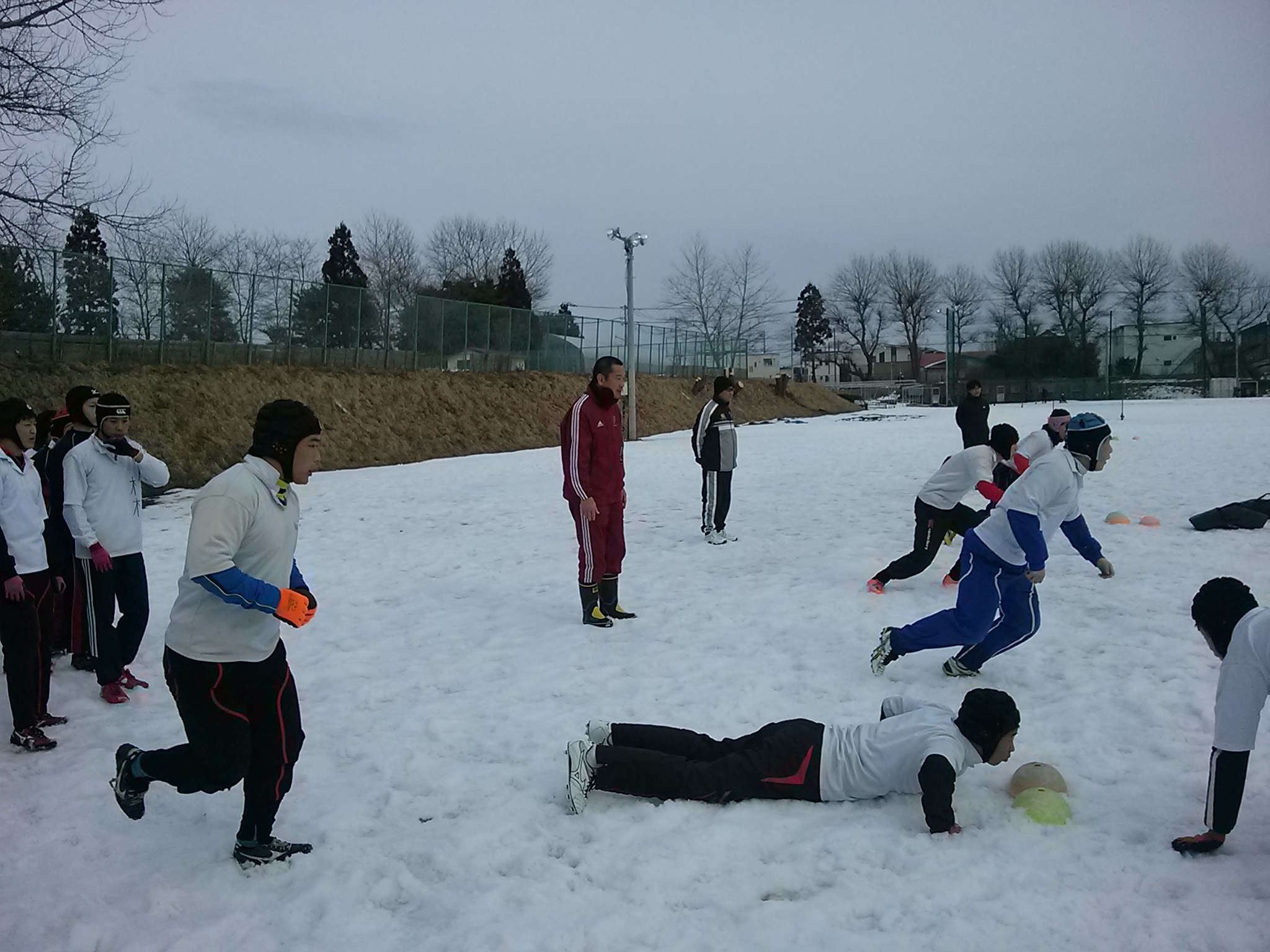 japan rugby